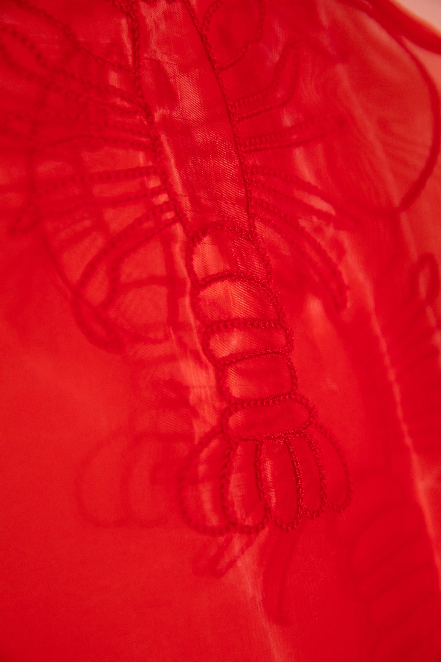 Organza Tunic