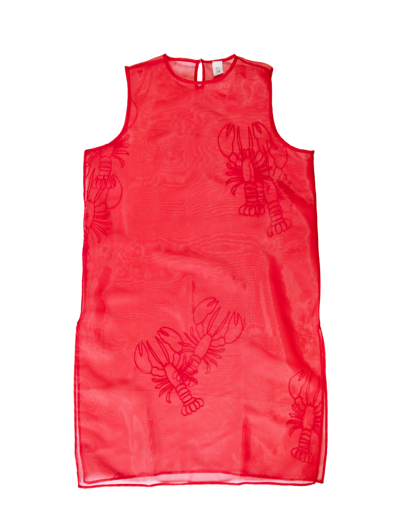 Organza Tunic